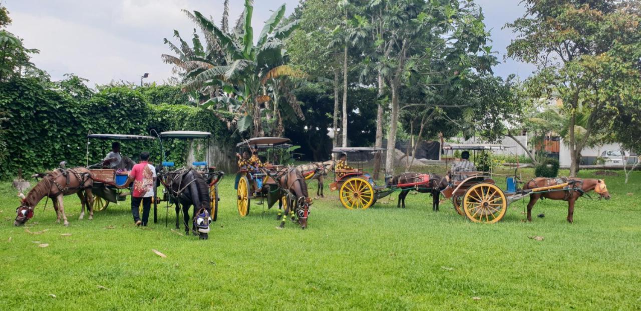 Borobudur Bed & Breakfast Magelang Ngoại thất bức ảnh