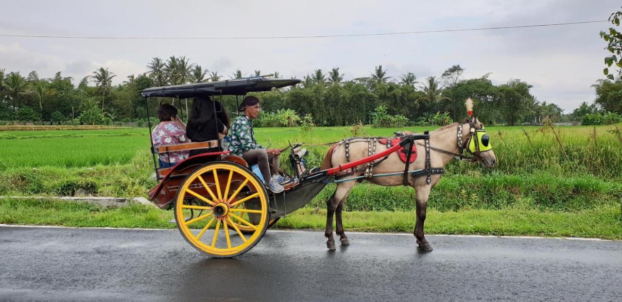 Borobudur Bed & Breakfast Magelang Ngoại thất bức ảnh